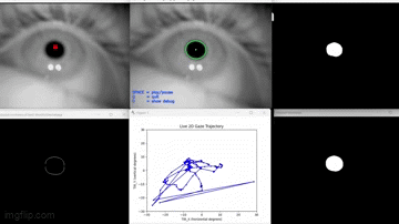 Live pupil tracking and 2D gaze trajectory during a test session